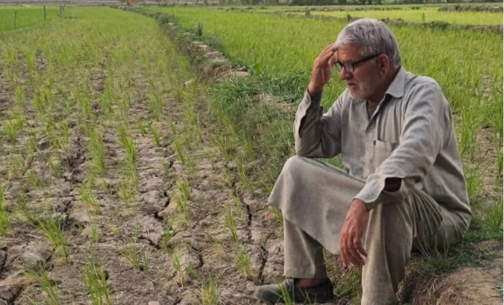 Jammu and Kashmir Farmers Urged to Embrace Crop Insurance amidst Severe Drought Conditions