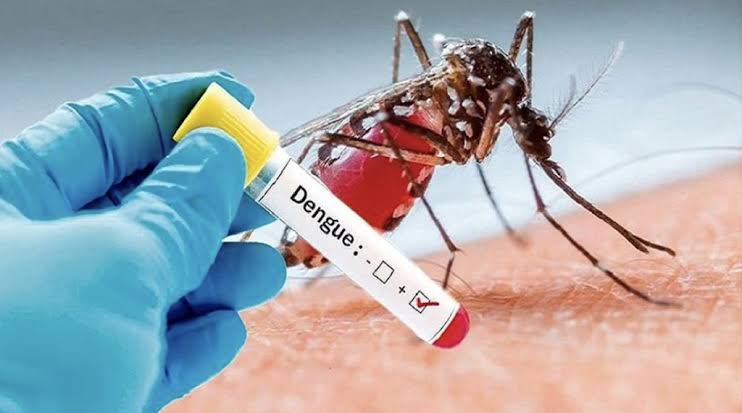 Dengue Resurfaces in Jammu Kashmir, 23 Cases Confirmed
