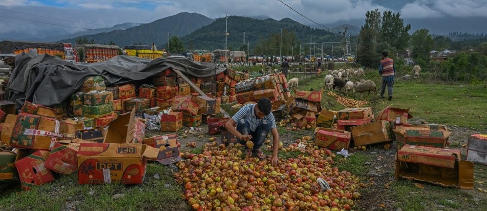 Apple Freight Charges Skyrocket; Minister Intervenes to Bring Transportation Charges Under Control