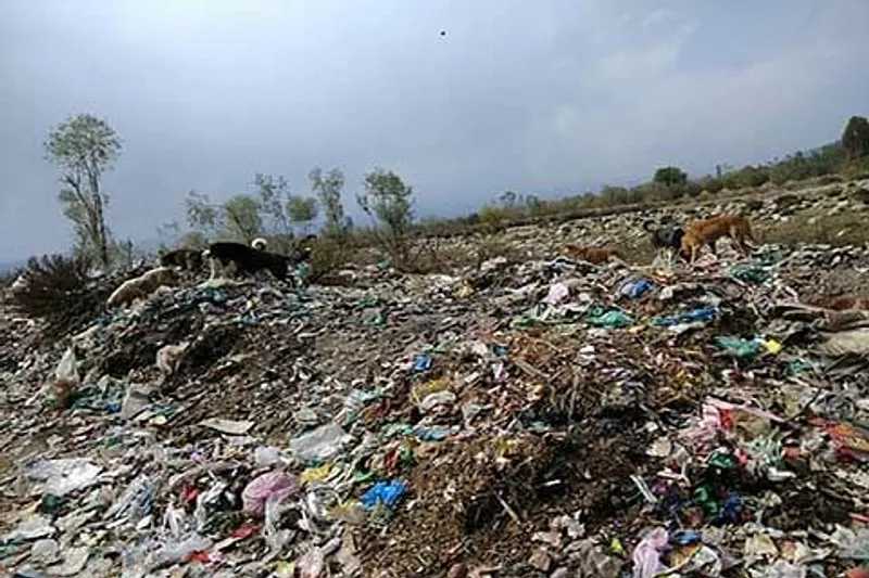 Rambiara River Turns into Dumping Ground, Shopian Faces Ecological Alarm