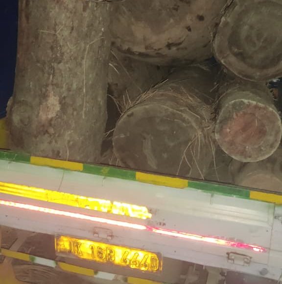 Driver Flees as Police Seize Vehicle Carrying Illicit Timber in Central Kashmir