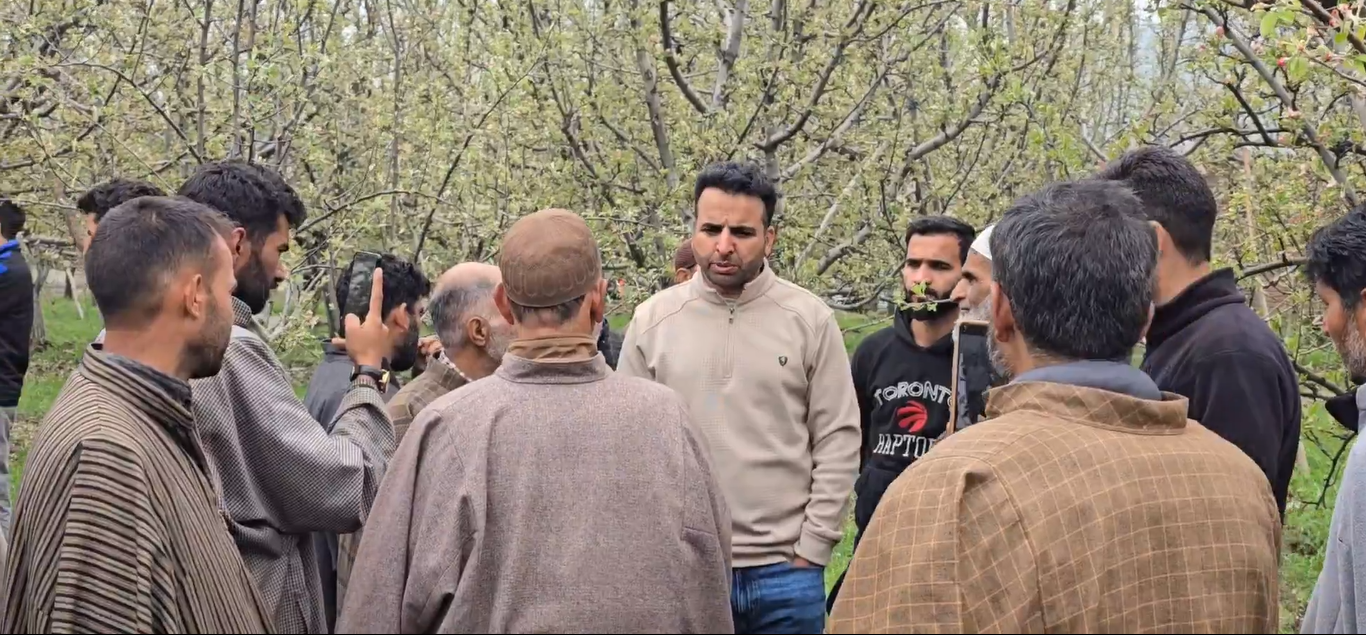 Hailstorm Wreaks Havoc in Shopian Orchards; Former MLA Demands Urgent Relief Measures