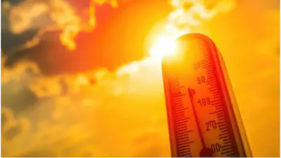 Heatwave Grips Kashmir as Srinagar Records Season's Hottest Day at 33.8°C