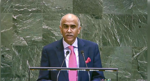 Firmly Opposed To Attacks On Merchant Shipping: India Tells UNSC Amid Iran Conflict